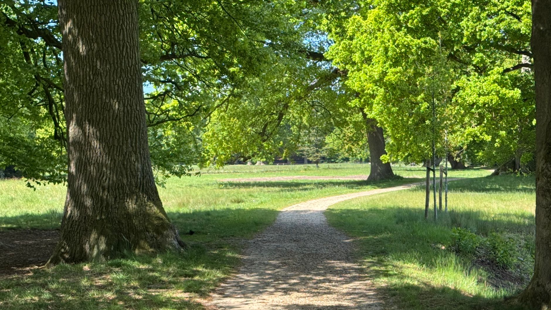 Lutte contre les nuisibles à Saint-André